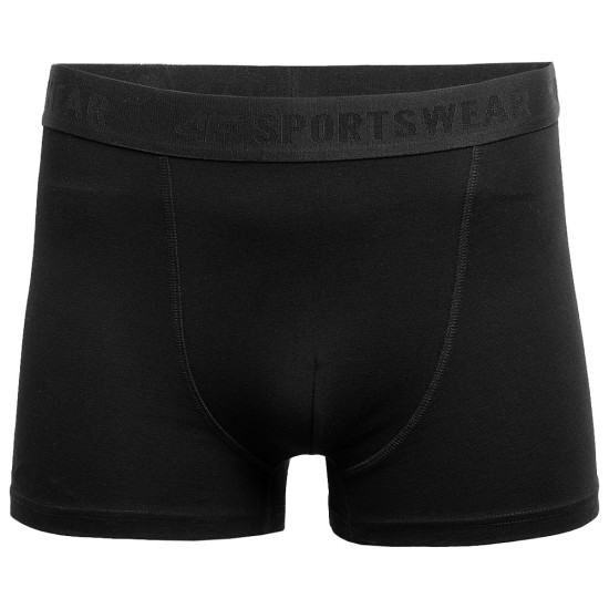 4F Ανδρικό εσώρουχο boxer 2-Pack